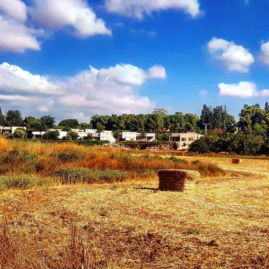 Kibbutz Nachshon Bed and Breakfast Exterior foto